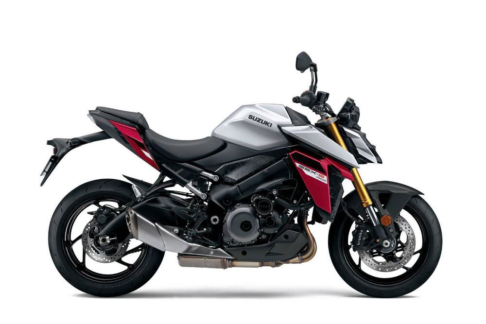 Suzuki GSX-S1000 (2021 - 24) (4)