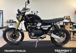 Triumph Scrambler 1200 XE (2024) nuova