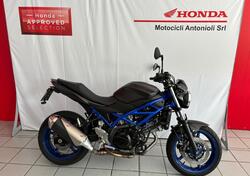 Suzuki SV650 (2021 - 24) usata