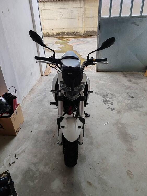 Benelli Tornado Naked T 125 (2017 - 20) (2)