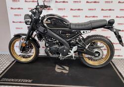 Yamaha XSR 125 Legacy (2022 - 24) usata