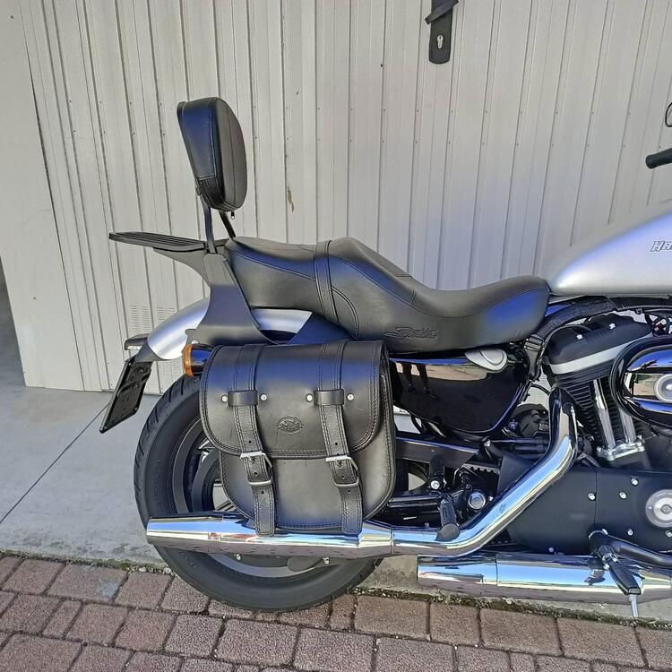 Harley-Davidson 883 Iron (2009 - 11) - XL 883N (4)