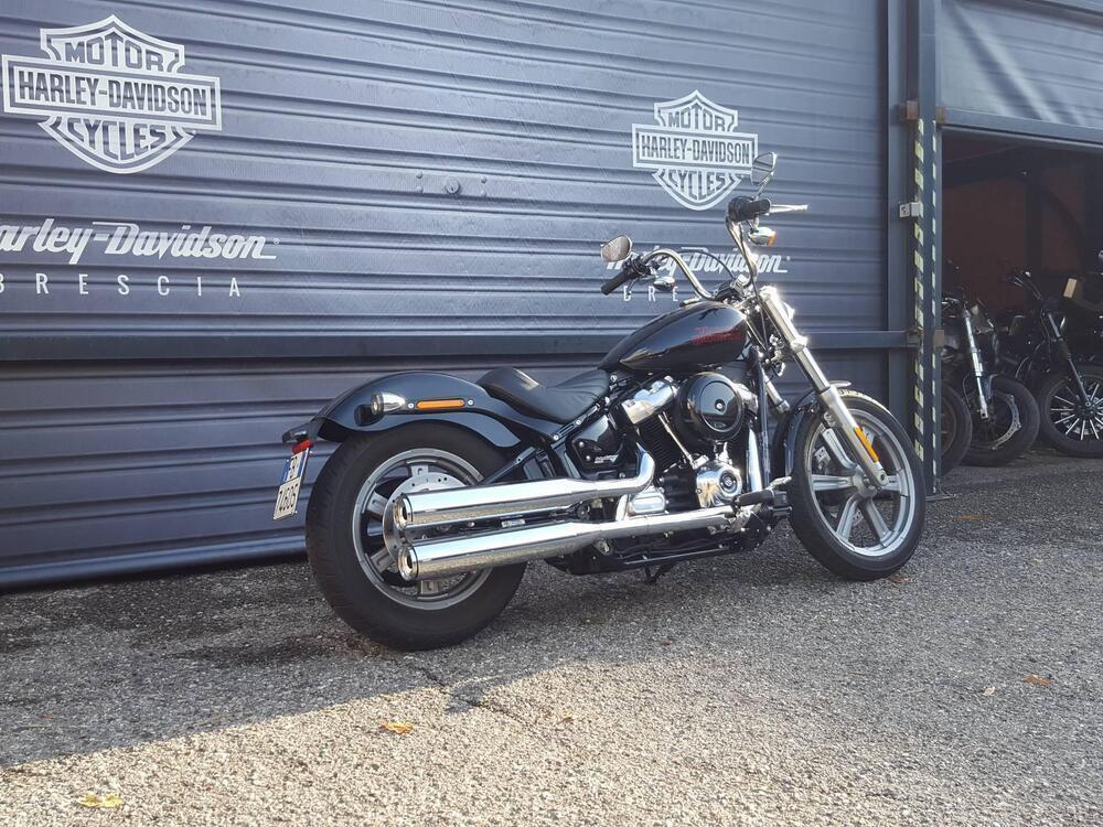 Harley-Davidson Softail Standard (2021 - 24) (3)