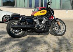 Harley-Davidson Nightster Special (2023 - 24) usata