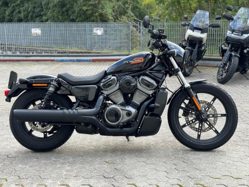Harley-Davidson Nightster (2023 - 24)