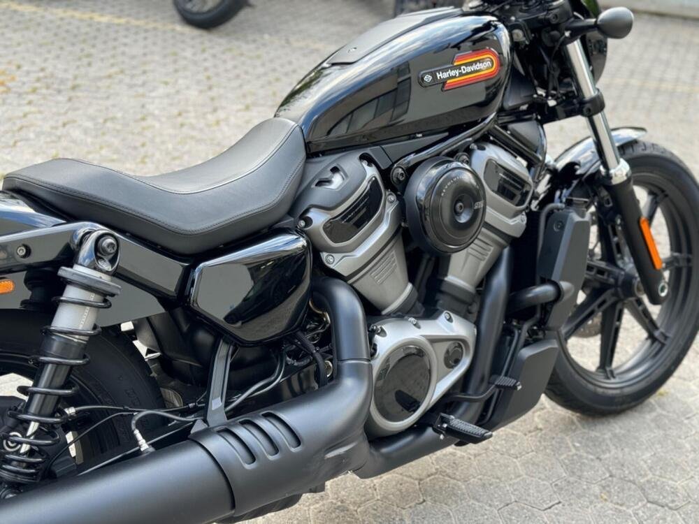 Harley-Davidson Nightster (2023 - 24) (2)