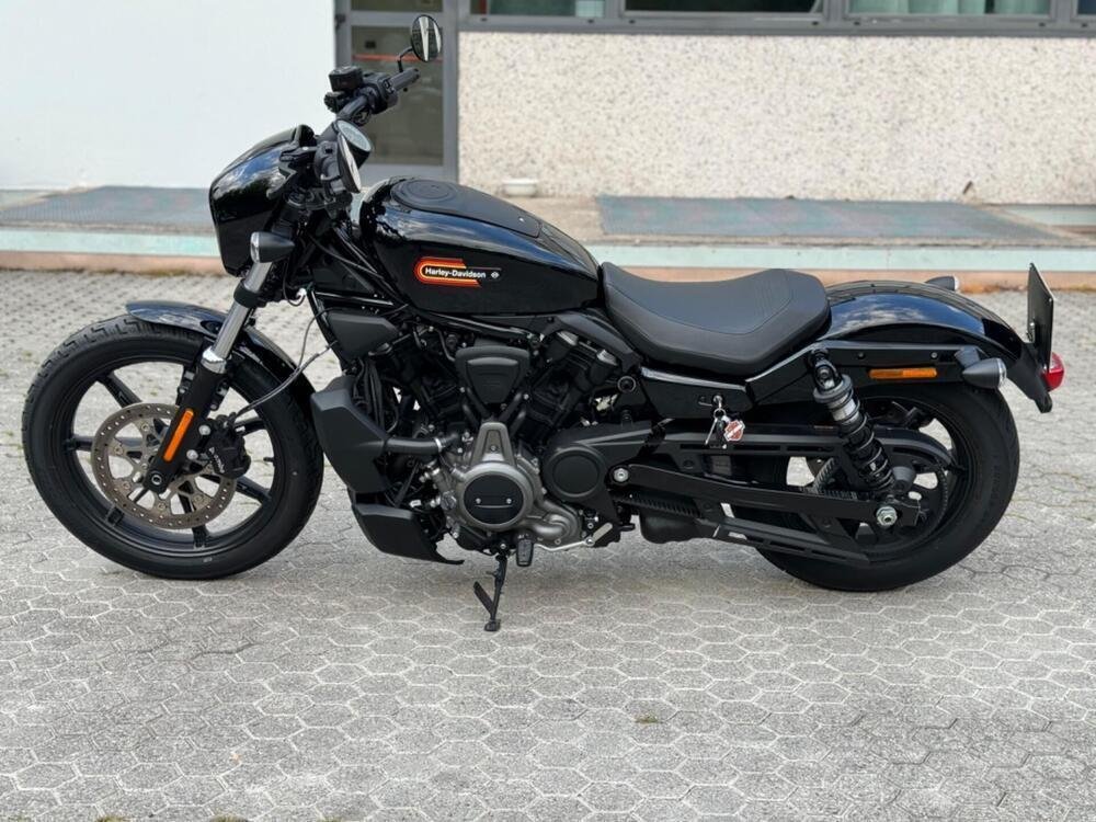 Harley-Davidson Nightster (2023 - 24) (3)