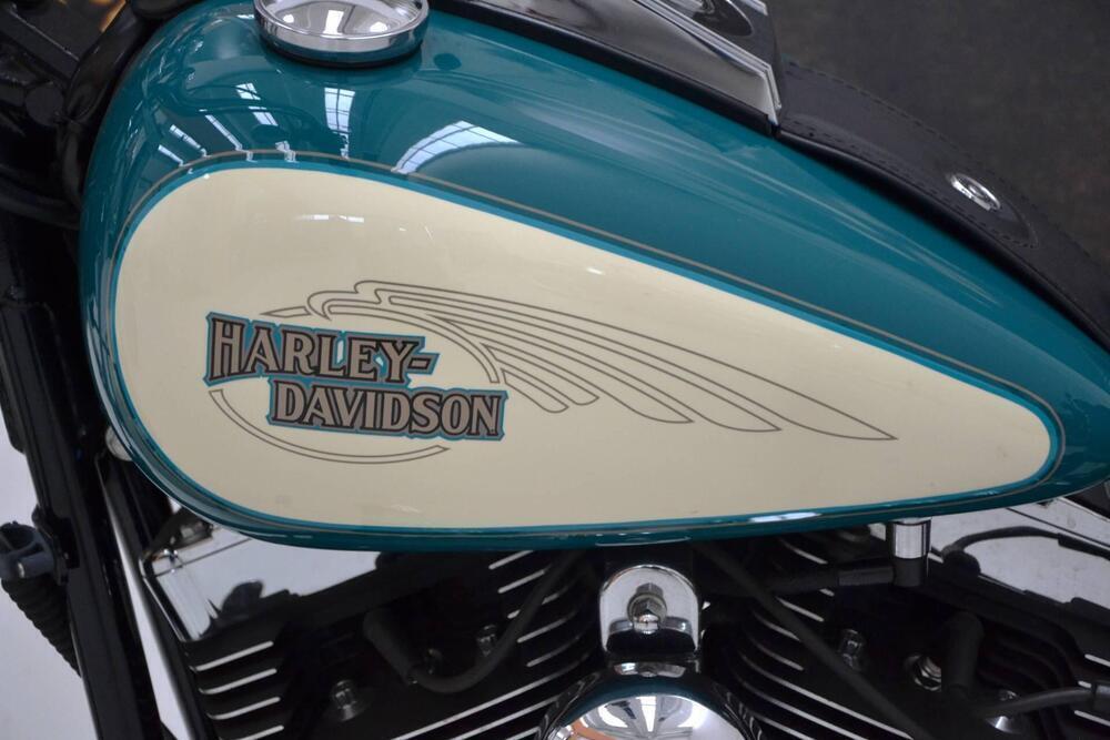 Harley-Davidson 1584 Custom (2008 - 09) - FXSTC (3)