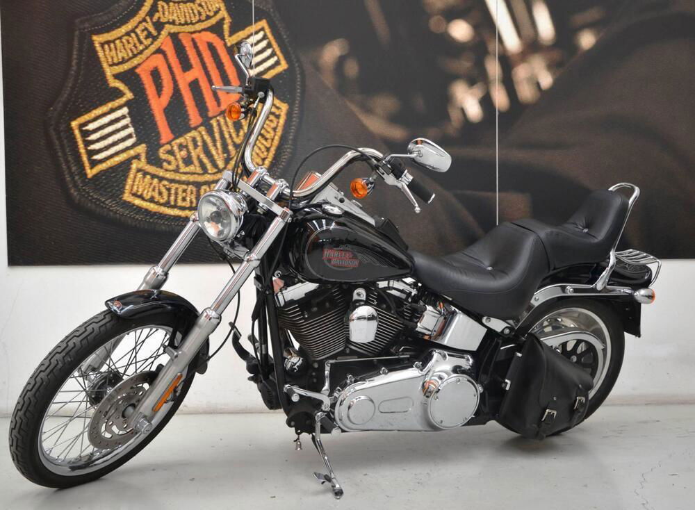 Harley-Davidson 1584 Custom (2008 - 09) - FXSTC (2)