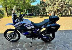 Yamaha XT 660 Z Ténéré (2008 - 16) usata