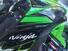 Kawasaki Ninja 1000 ZX-10R (2016) (6)