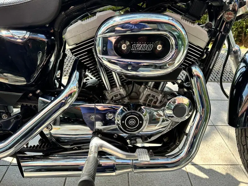 Harley-Davidson 1200 Roadster (2002 - 05) - XL 1200R (11)