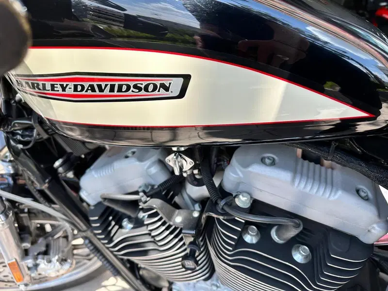Harley-Davidson 1200 Roadster (2002 - 05) - XL 1200R (9)