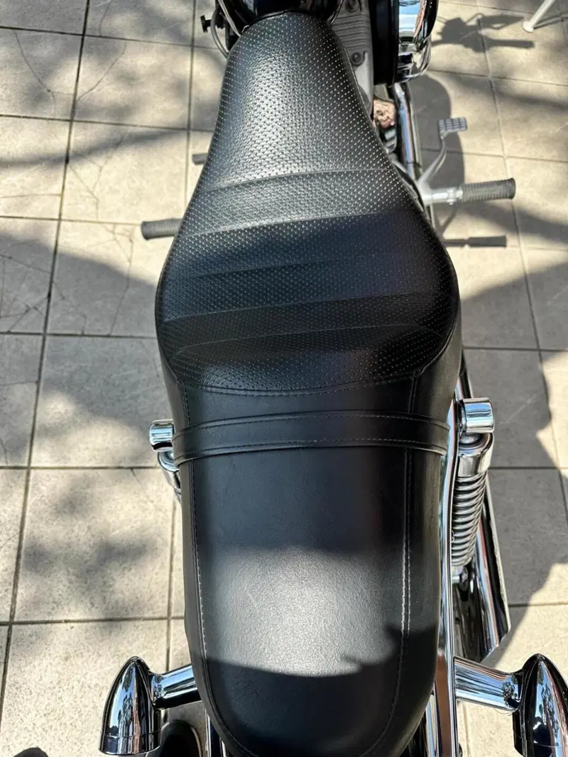 Harley-Davidson 1200 Roadster (2002 - 05) - XL 1200R (7)