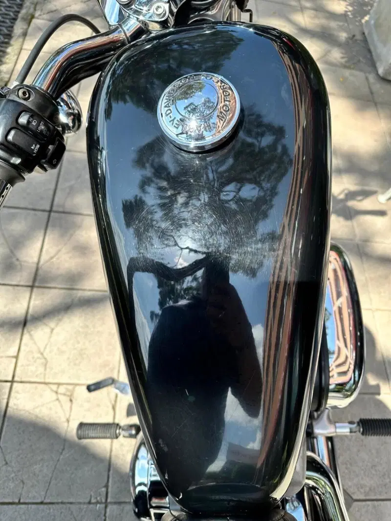 Harley-Davidson 1200 Roadster (2002 - 05) - XL 1200R (10)