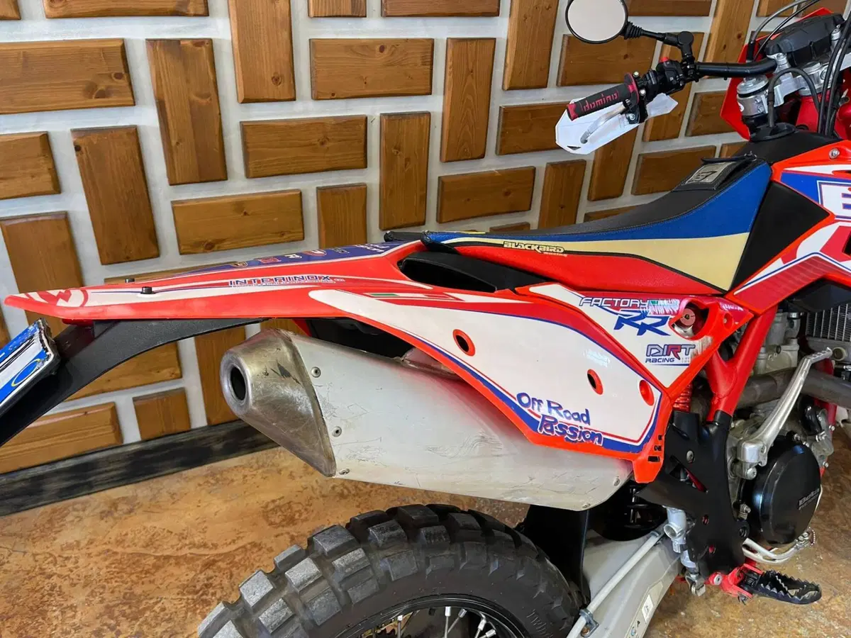 Betamotor RR 400 4T Enduro (2013) (9)