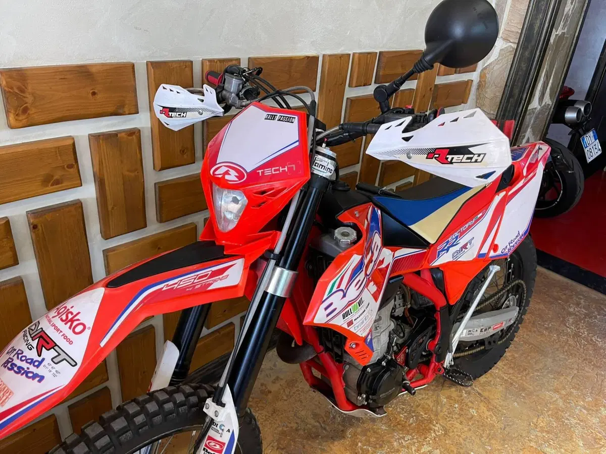 Betamotor RR 400 4T Enduro (2013) (14)