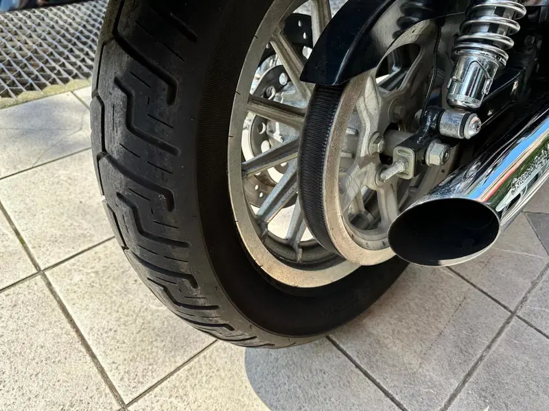 Harley-Davidson 1200 Roadster (2002 - 05) - XL 1200R (13)