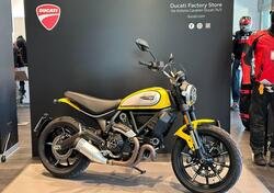 Ducati Scrambler 800 Icon (2021 - 22) usata