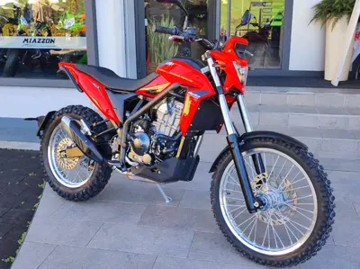 Betamotor Alp 4.0 (2024 - 26) nuova