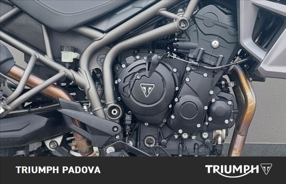 Triumph Tiger 800 XRx (2015 - 17) (3)