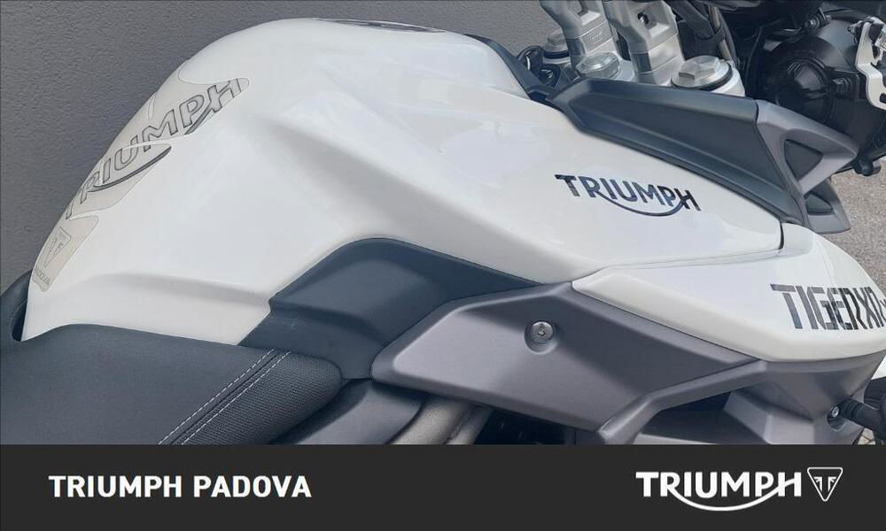Triumph Tiger 800 XRx (2015 - 17) (4)