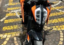 KTM 790 Duke L (2023 - 24) usata