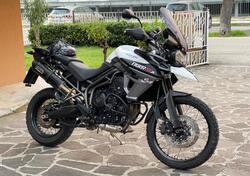 Triumph Tiger 800 XCx (2015 - 17) usata