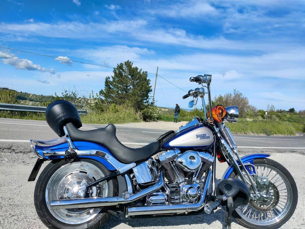 Harley-Davidson 1584 Custom (2007) - FXSTC (4)