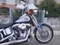 Harley-Davidson 1584 Custom (2007) - FXSTC (13)