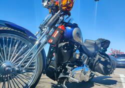 Harley-Davidson 1584 Custom (2007) - FXSTC usata
