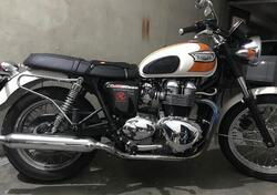 Triumph Bonneville T100 (2001 - 07) usata