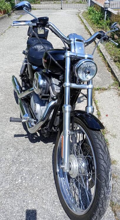 Harley-Davidson 883 Custom (2006 - 07) - XL 883C (2)