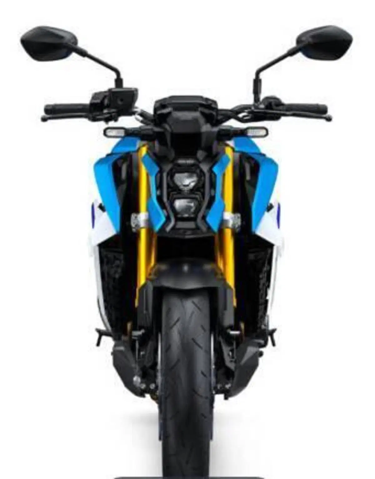Suzuki GSX-S1000 (2021 - 25) (2)