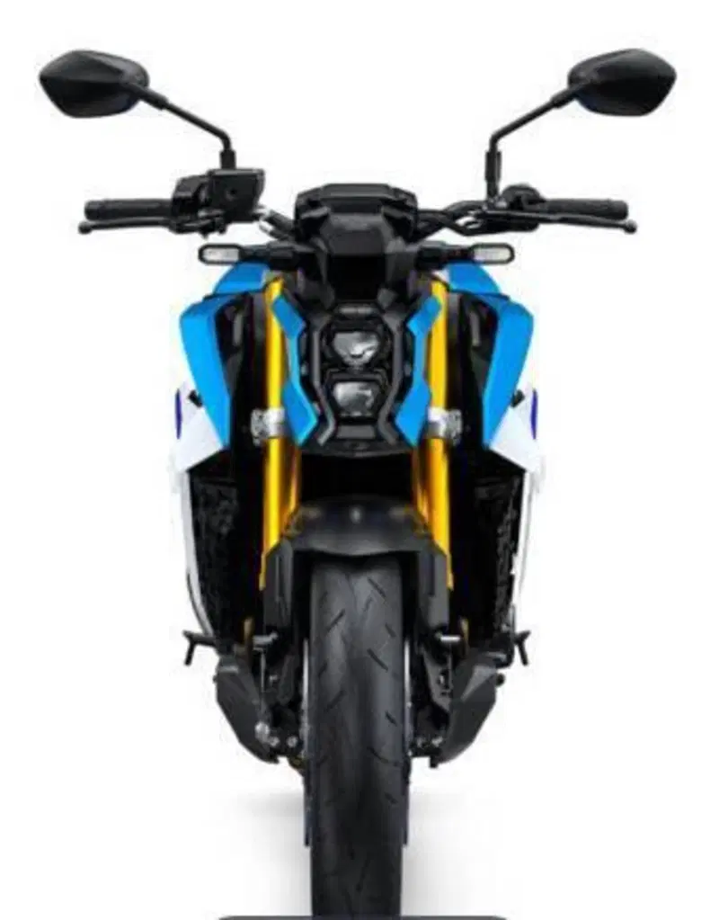 Suzuki GSX-S1000 (2021 - 25) (2)