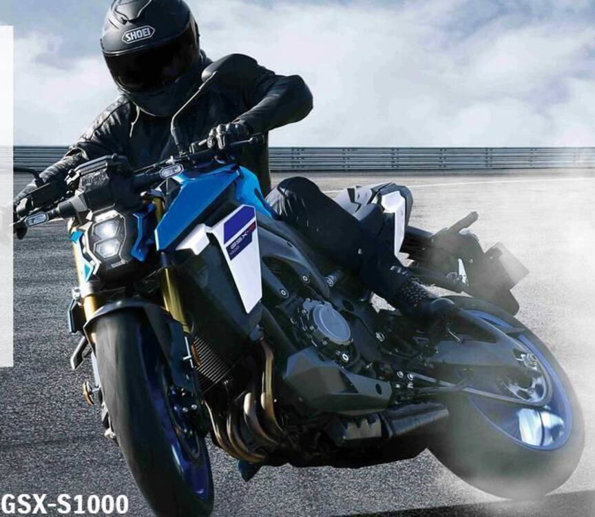 Suzuki GSX-S1000 (2021 - 24) (3)