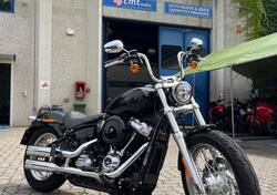 Harley-Davidson Softail Standard (2020) - FXST usata