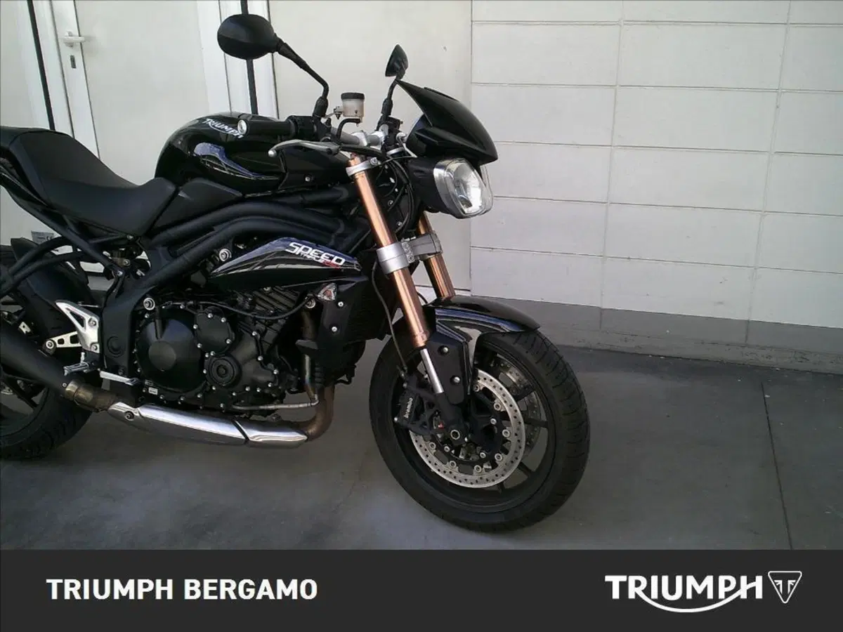 Triumph Speed Triple 1050 (2005 - 11) (8)