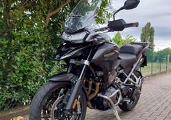 Triumph Tiger 1200 GT Pro (2024) usata