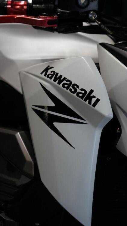 Kawasaki Z 800 e ABS (2012 - 16) (5)