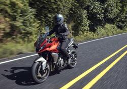 Triumph Tiger 660 Sport (2022 - 24) nuova