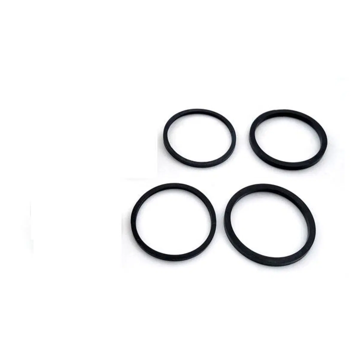 Kit paraoli pinza freno posteriore per Sportster d 