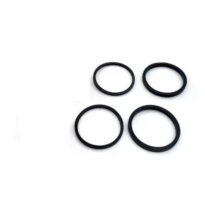 Kit paraoli pinza freno posteriore per Sportster d 
