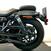 Harley-Davidson Nightster (2023 - 24) (13)