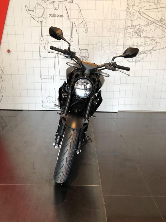 Honda CB 300 R (2022 - 24) (3)