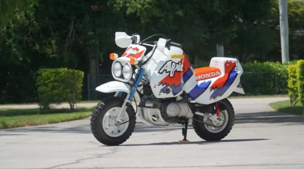 Venduta all'asta una mini Honda Africa Twin: il prezzo &egrave; da capogiro [GALLERY]