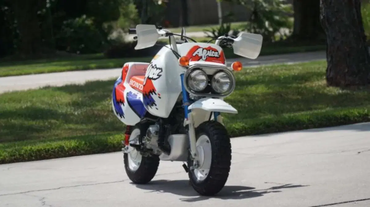 Venduta all'asta una mini Honda Africa Twin: il prezzo è da capogiro [GALLERY] (2)