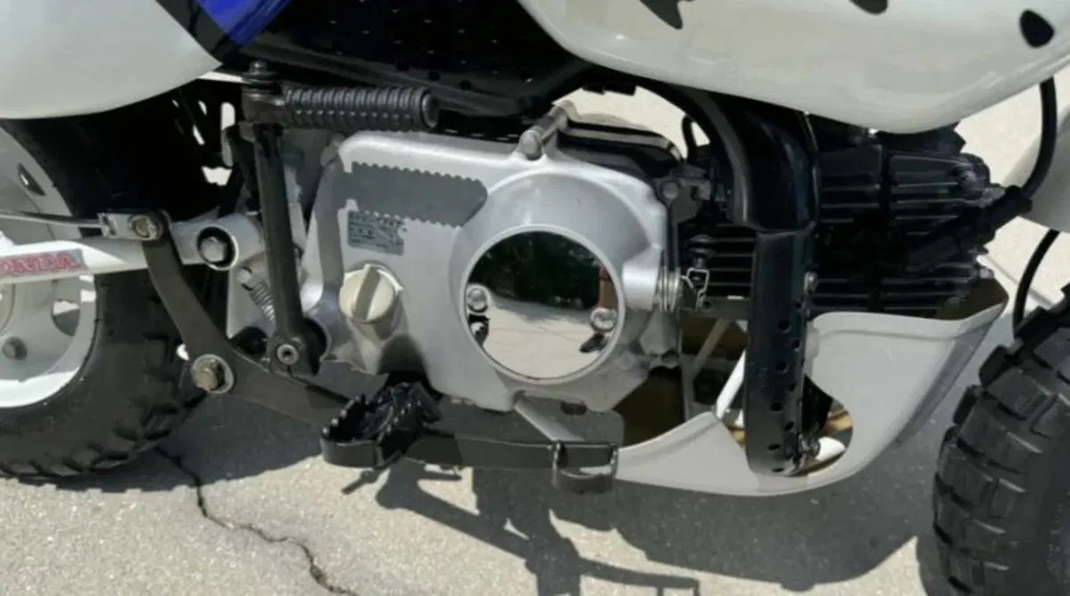 Venduta all'asta una mini Honda Africa Twin: il prezzo è da capogiro [GALLERY] (13)