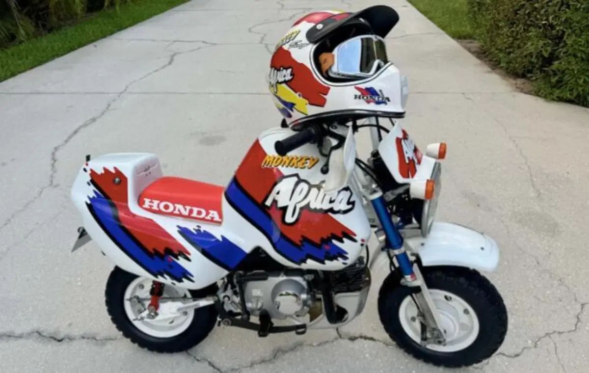 Venduta all'asta una mini Honda Africa Twin: il prezzo è da capogiro [GALLERY] (14)