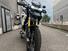 Triumph Tiger 1200 Rally Pro (2024) (13)